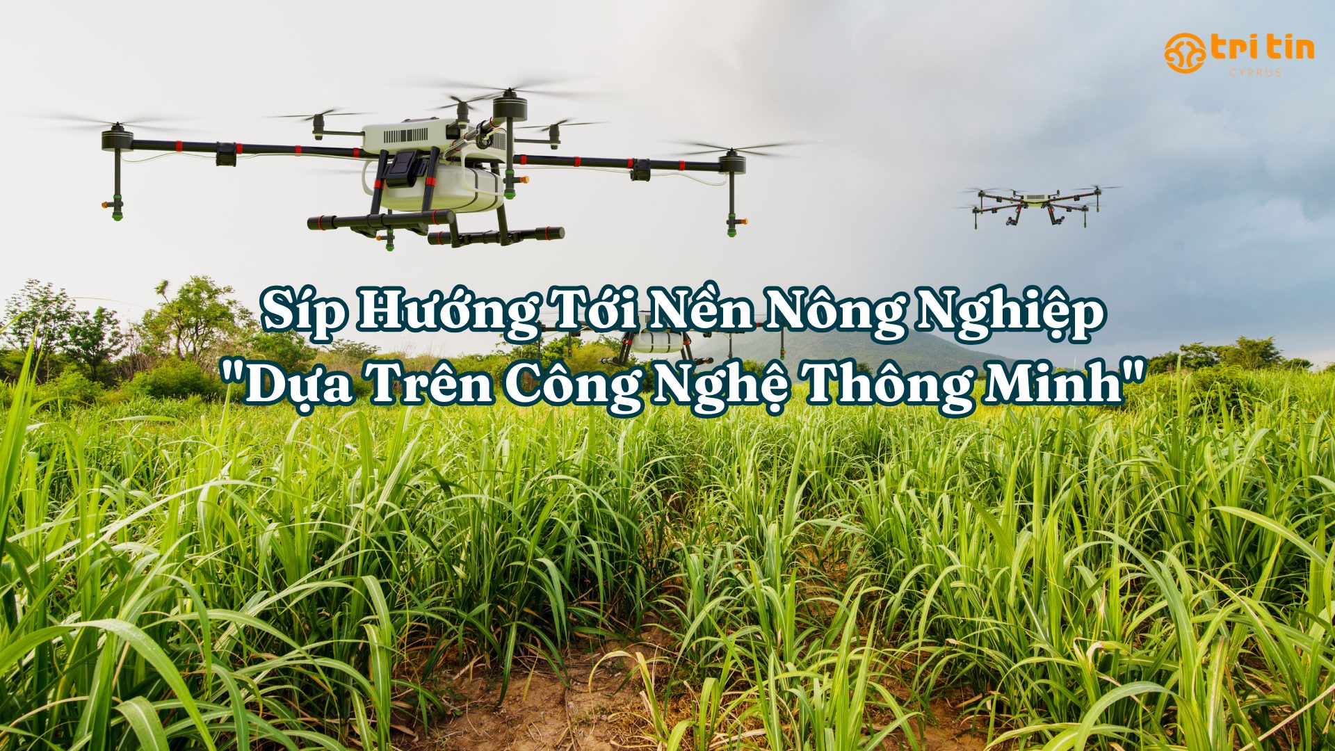 Síp Hướng Tới Nền Nông Nghiệp “Dựa Trên Công Nghệ Thông Minh”