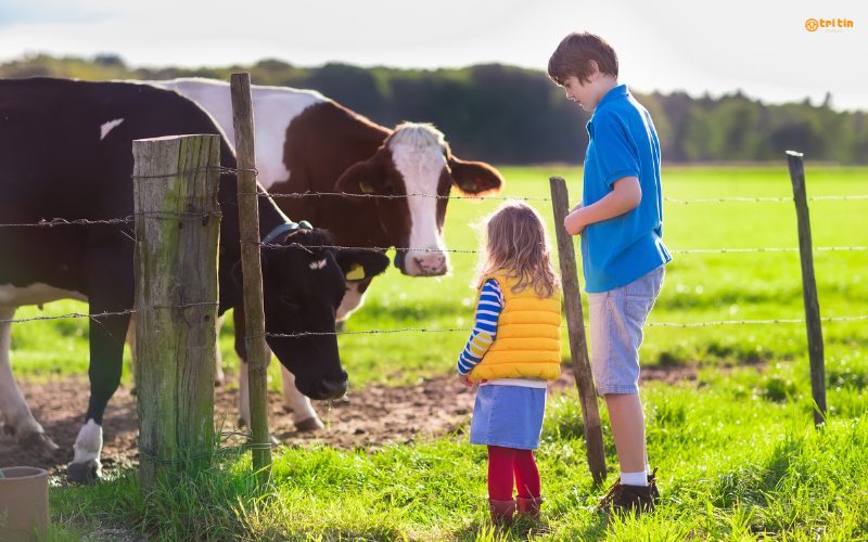 Du lịch nông nghiệp tại Síp – Hành trình khám phá những giá trị chân thực